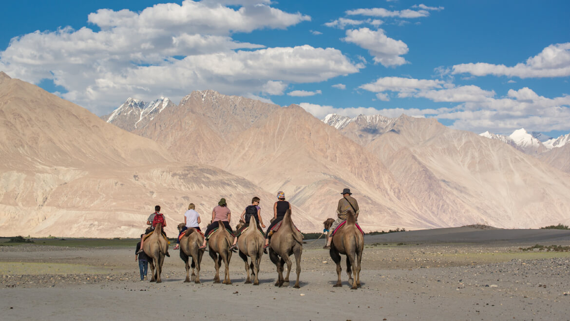 Ladakh 6 Nubra Dunes