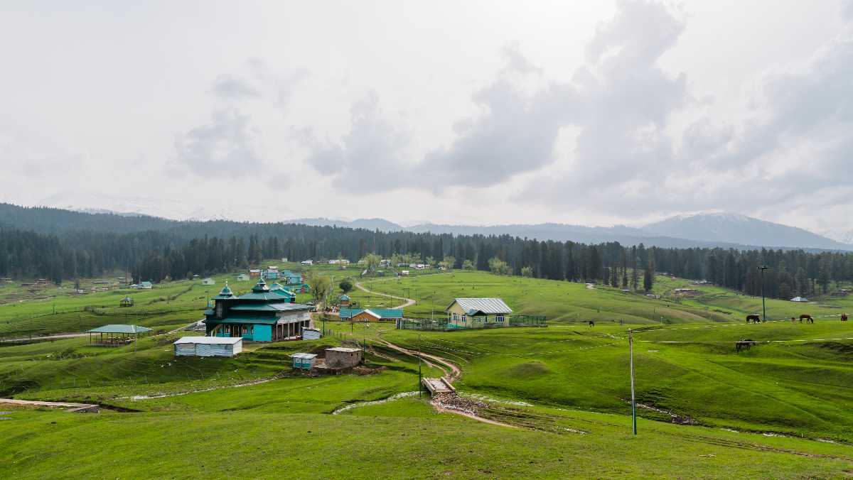 Jammu and Kashmir 10 YUSMARG