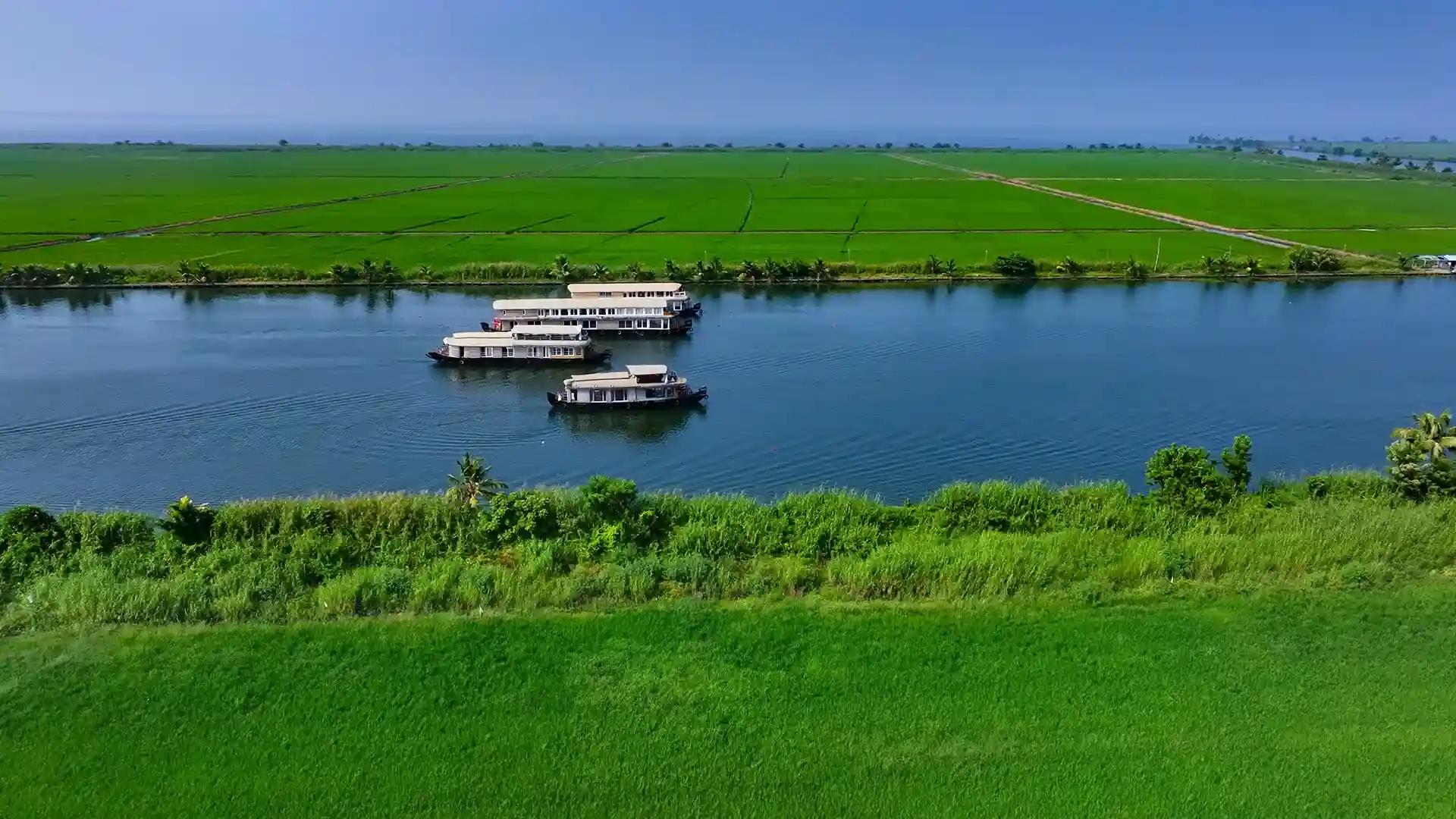 🚤 Kumarakom Backwaters