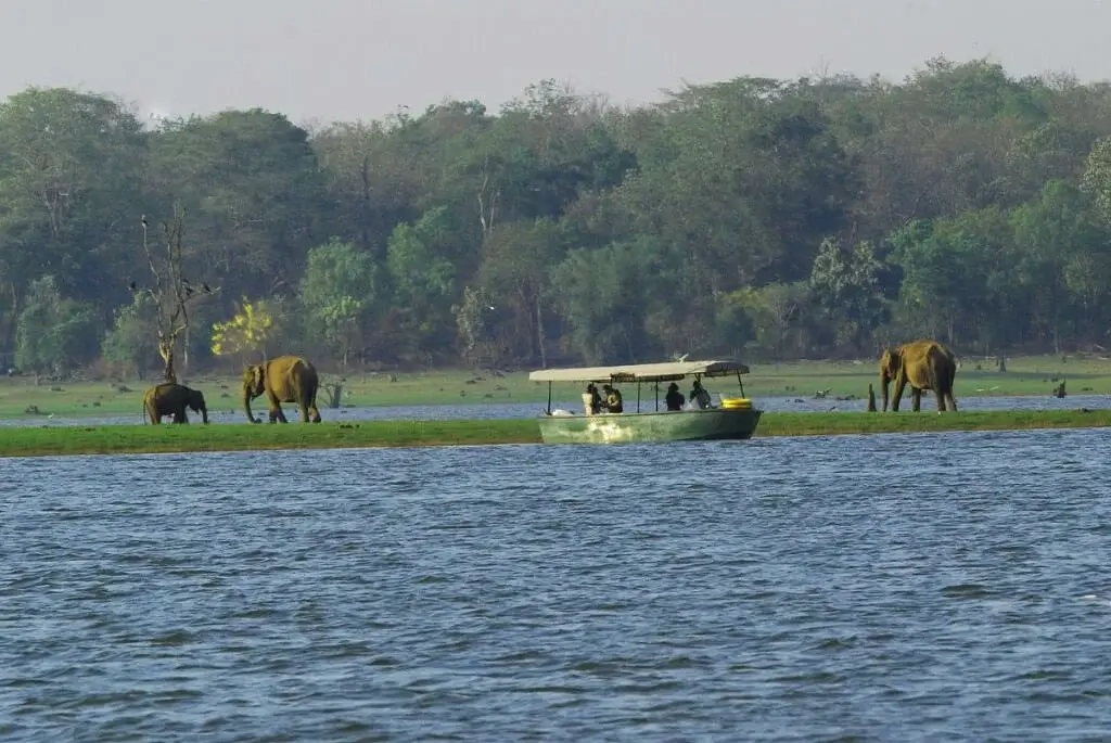 Kabini River Safari