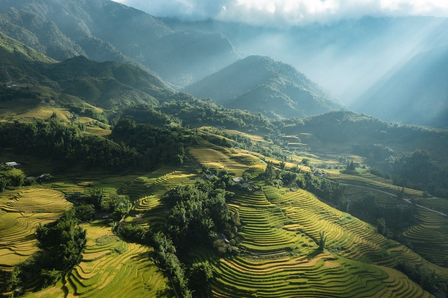 Sapa Rice Terraces